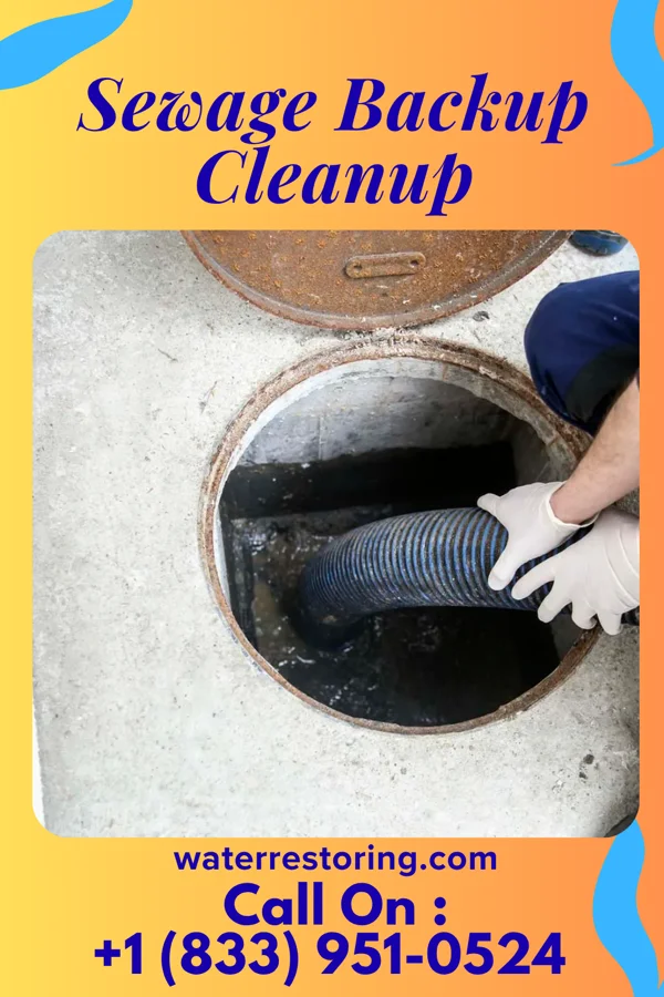 Sewage Backup Cleanup in Brooklyn, IN